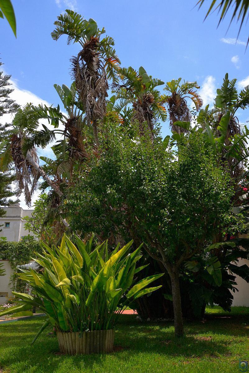 B&B Mondello Resort 外观 照片