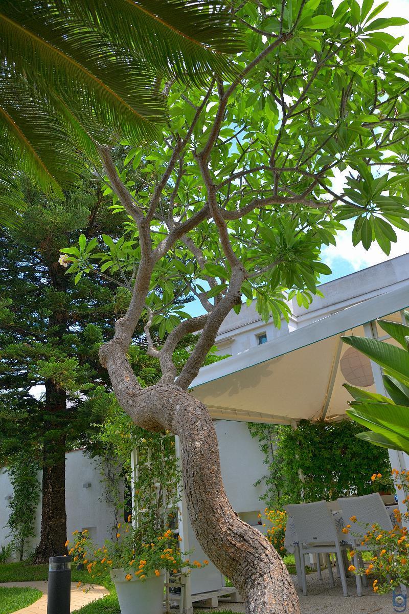 B&B Mondello Resort 外观 照片